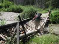 Allison Creek Bridge